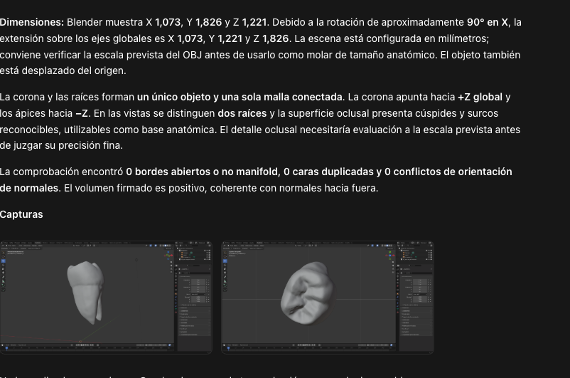 Explorar para comprender.